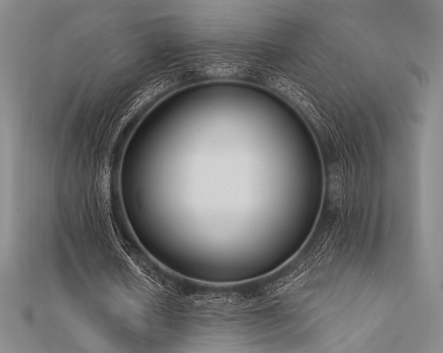 X0000112180626200908071327