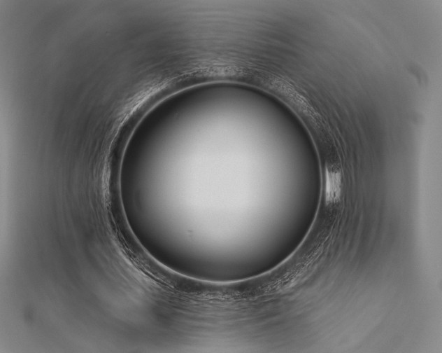 X0000112180627200908071327