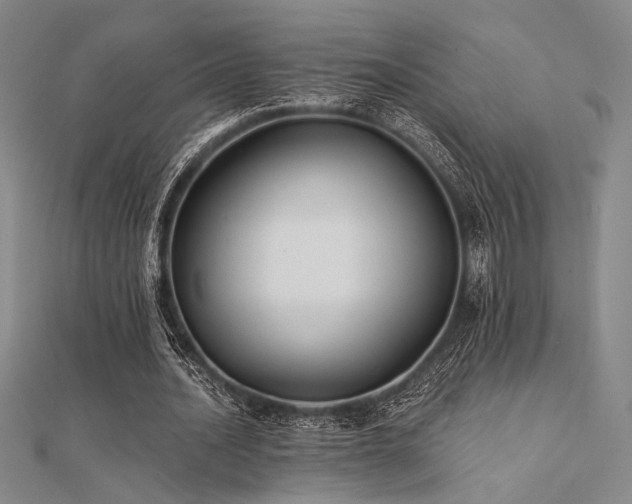 X0000112180628200908071327