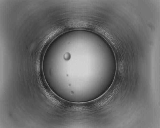 X0000112180629200908071327