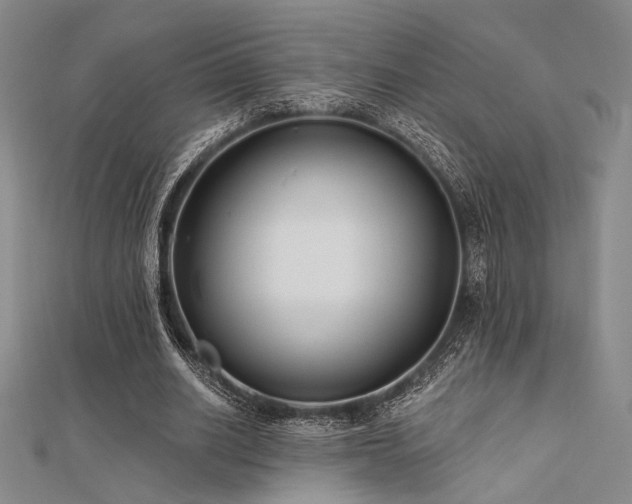 X0000112180630200908071327