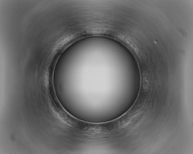 X0000112180631200908071327