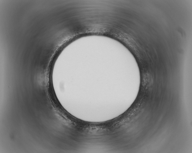 X0000112180632200908071327