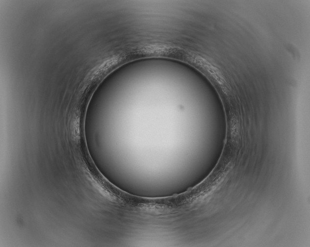 X0000112180633200908071327