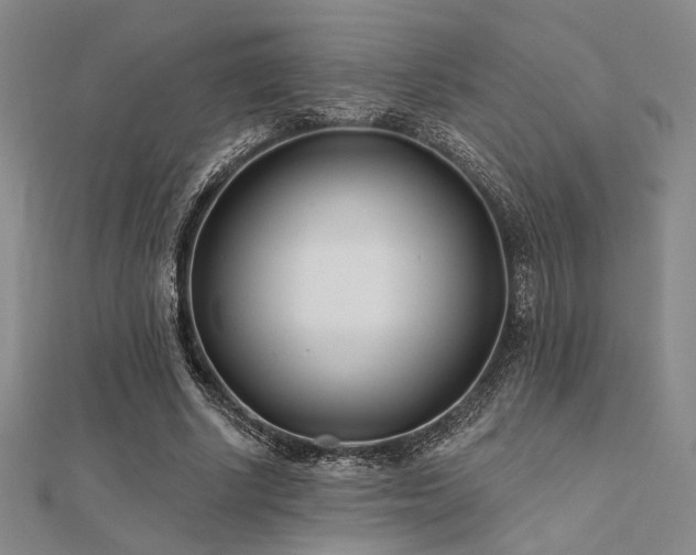 X0000112180634200908071327