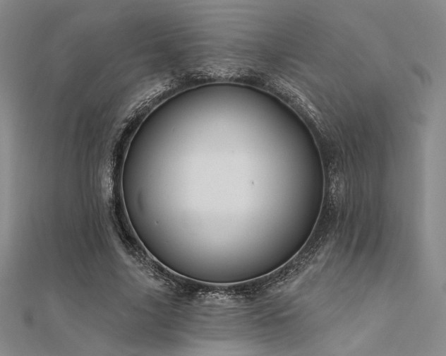 X0000112180635200908071327