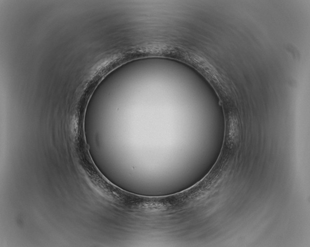 X0000112180636200908071327