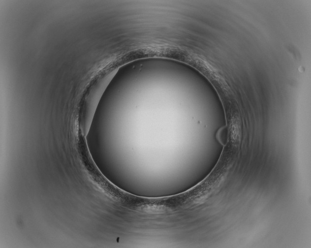 X0000112180637200908071327