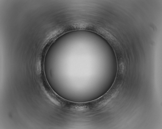 X0000112180638200908071327