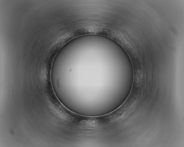 X0000112180639200908071327