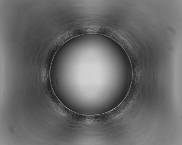 X0000112180641200908071327