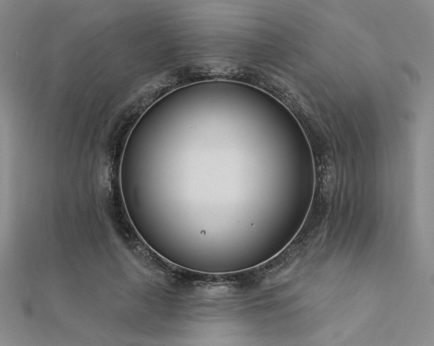 X0000112180643200908071327