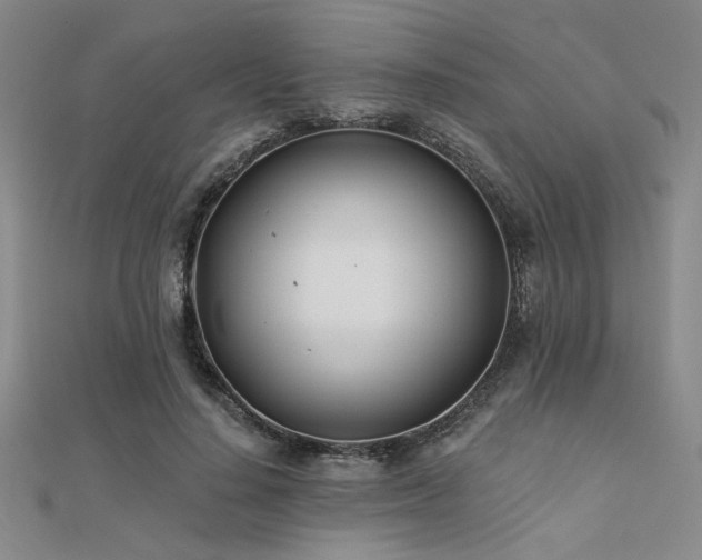 X0000112180644200908071327