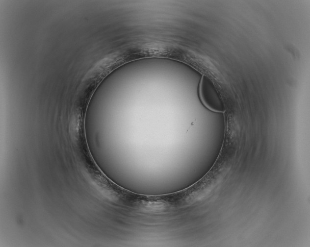 X0000112180645200908071327