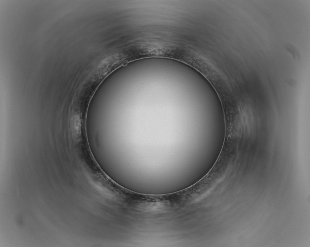 X0000112180646200908071327