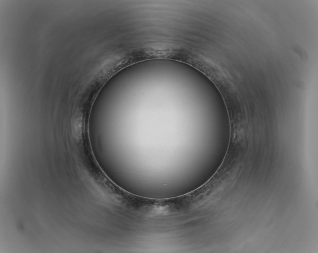 X0000112180647200908071327