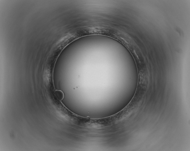 X0000112180648200908071327