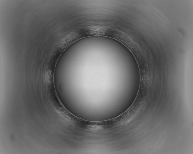 X0000112180649200908071327