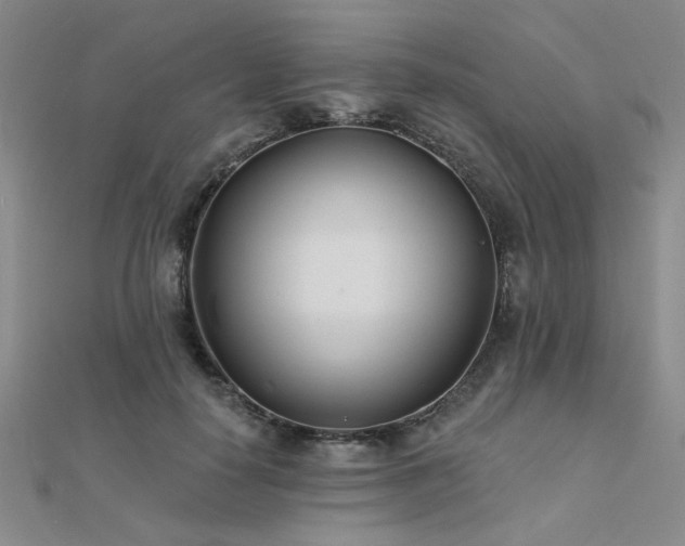 X0000112180650200908071327