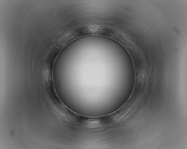 X0000112180651200908071327