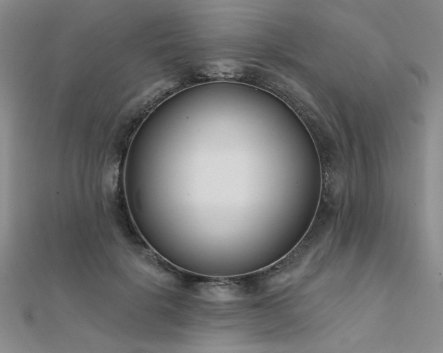 X0000112180652200908071327