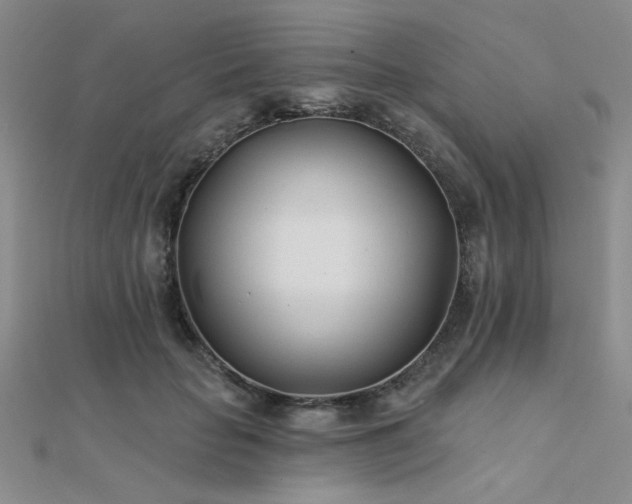 X0000112180653200908071327