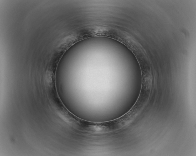 X0000112180654200908071327