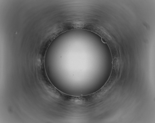 X0000112180655200908071327