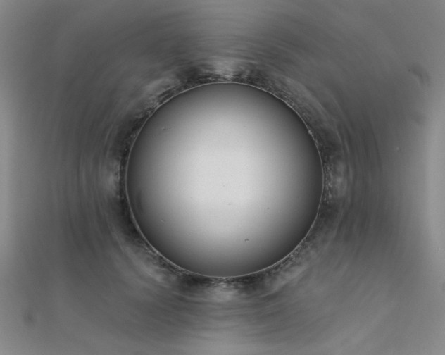 X0000112180656200908071327