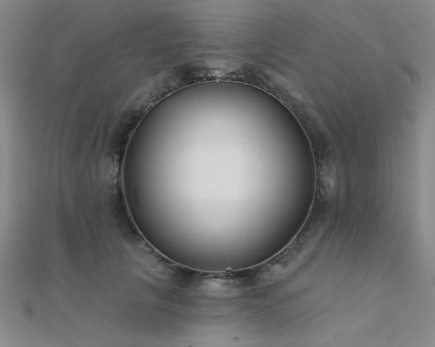 X0000112180657200908071327