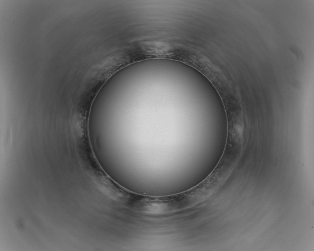 X0000112180658200908071327