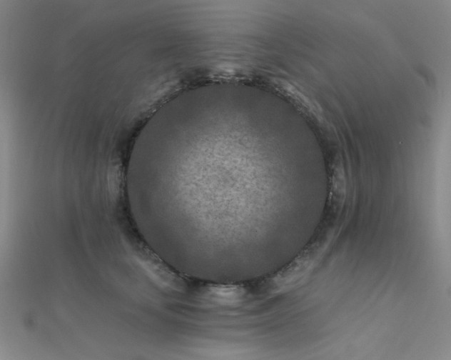 X0000112180659200908071327