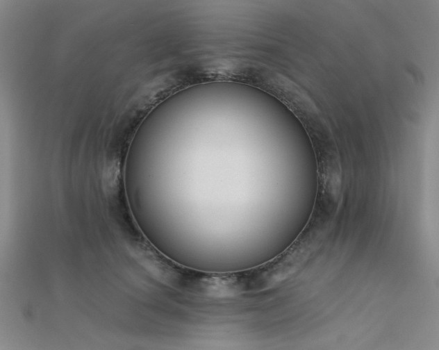 X0000112180660200908071327