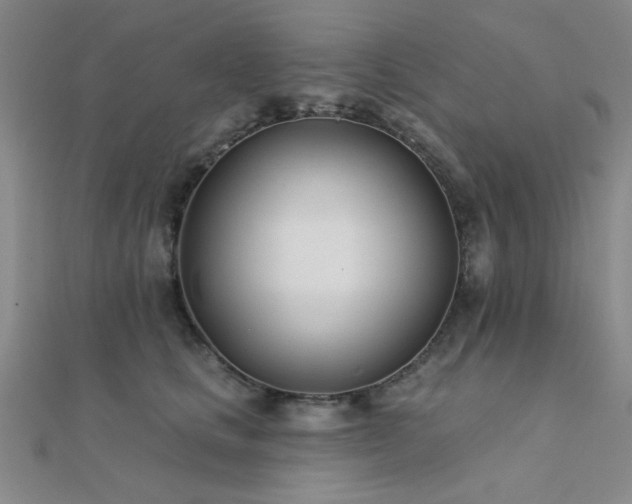 X0000112180661200908071327