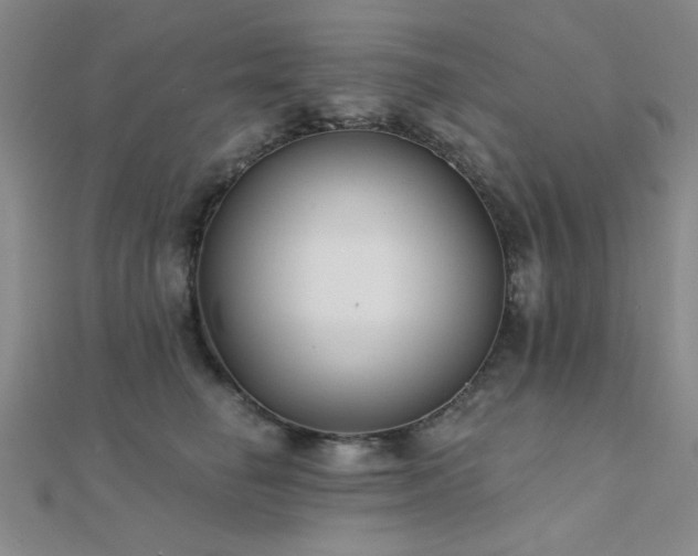 X0000112180662200908071327