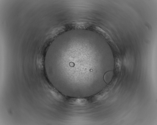 X0000112180663200908071327