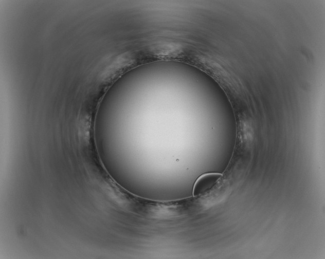 X0000112180664200908071327