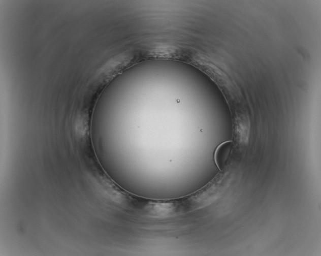 X0000112180665200908071327