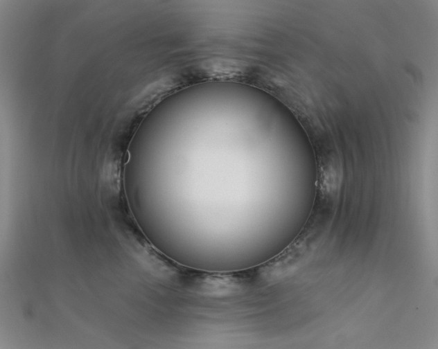 X0000112180666200908071327