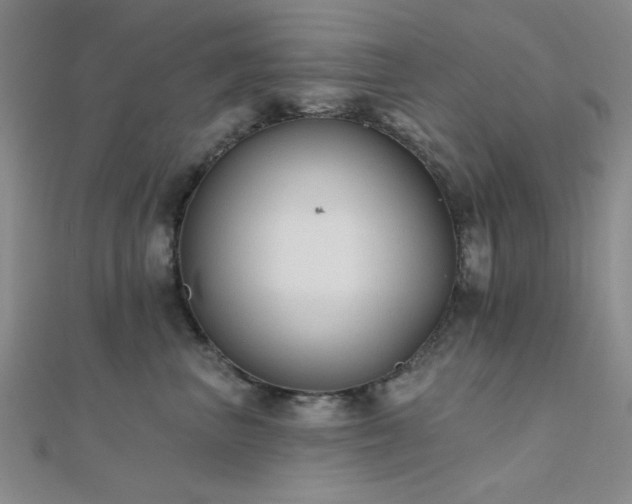 X0000112180667200908071327