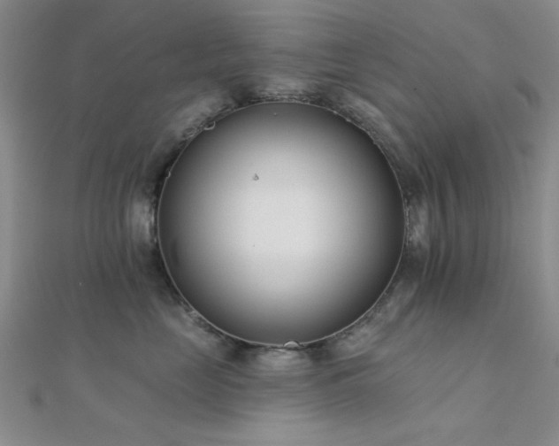 X0000112180669200908071327