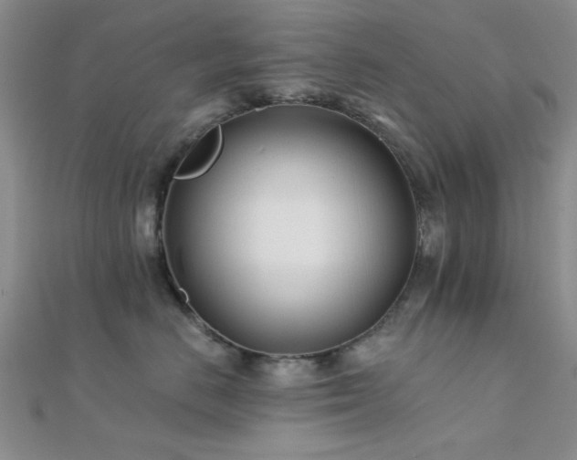 X0000112180670200908071327