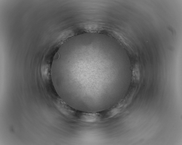 X0000112180671200908071327