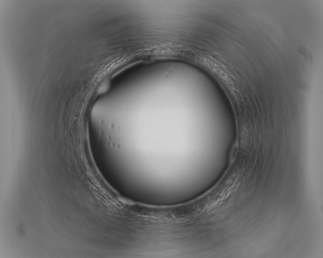 X0000112180673200908071327