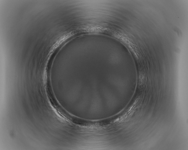 X0000112180674200908071327