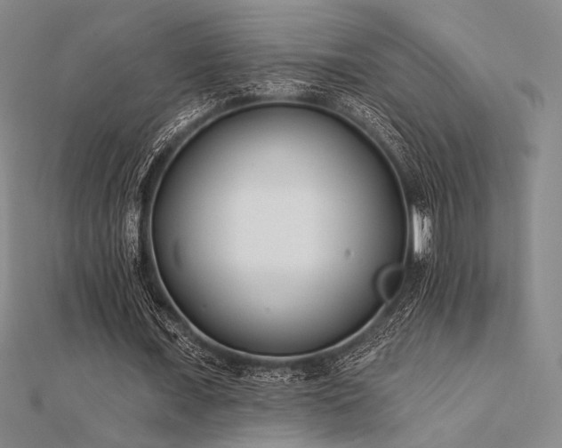 X0000112180675200908071327