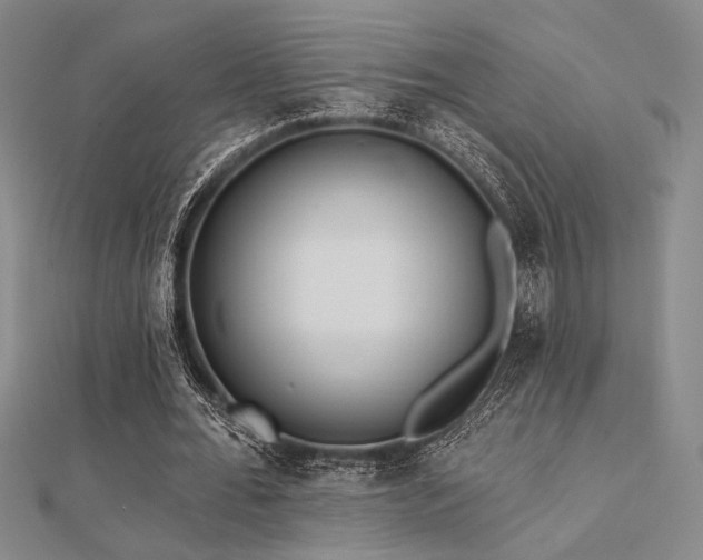 X0000112180676200908071327