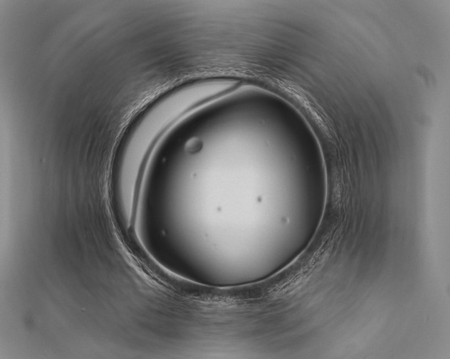 X0000112180677200908071327