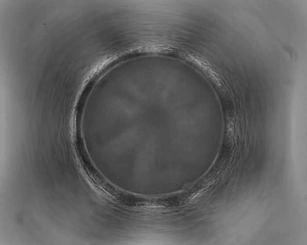 X0000112180678200908071327