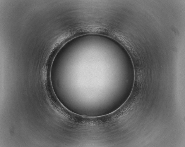 X0000112180679200908071327